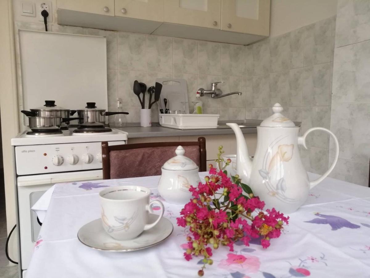 Apartman Nana Jagodina Kültér fotó