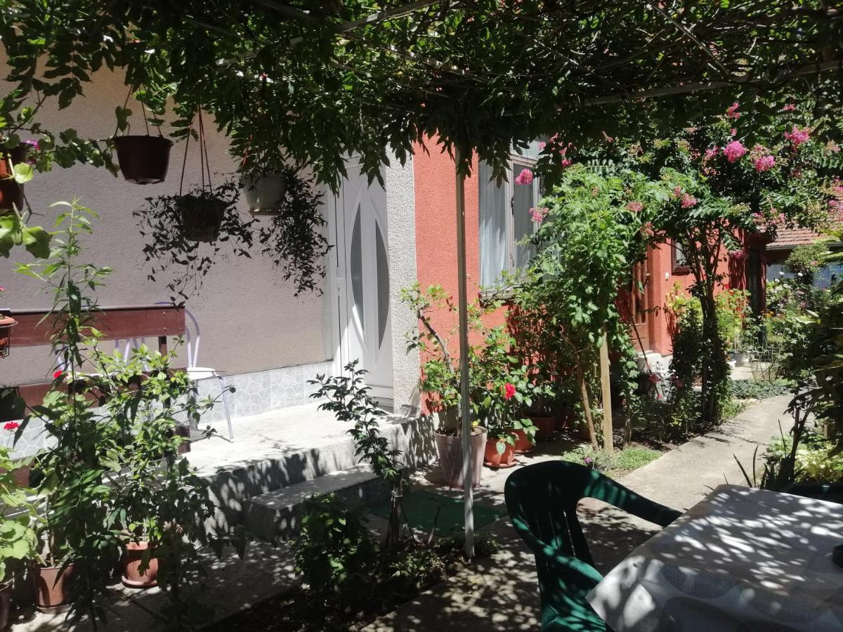 Apartman Nana Jagodina Kültér fotó