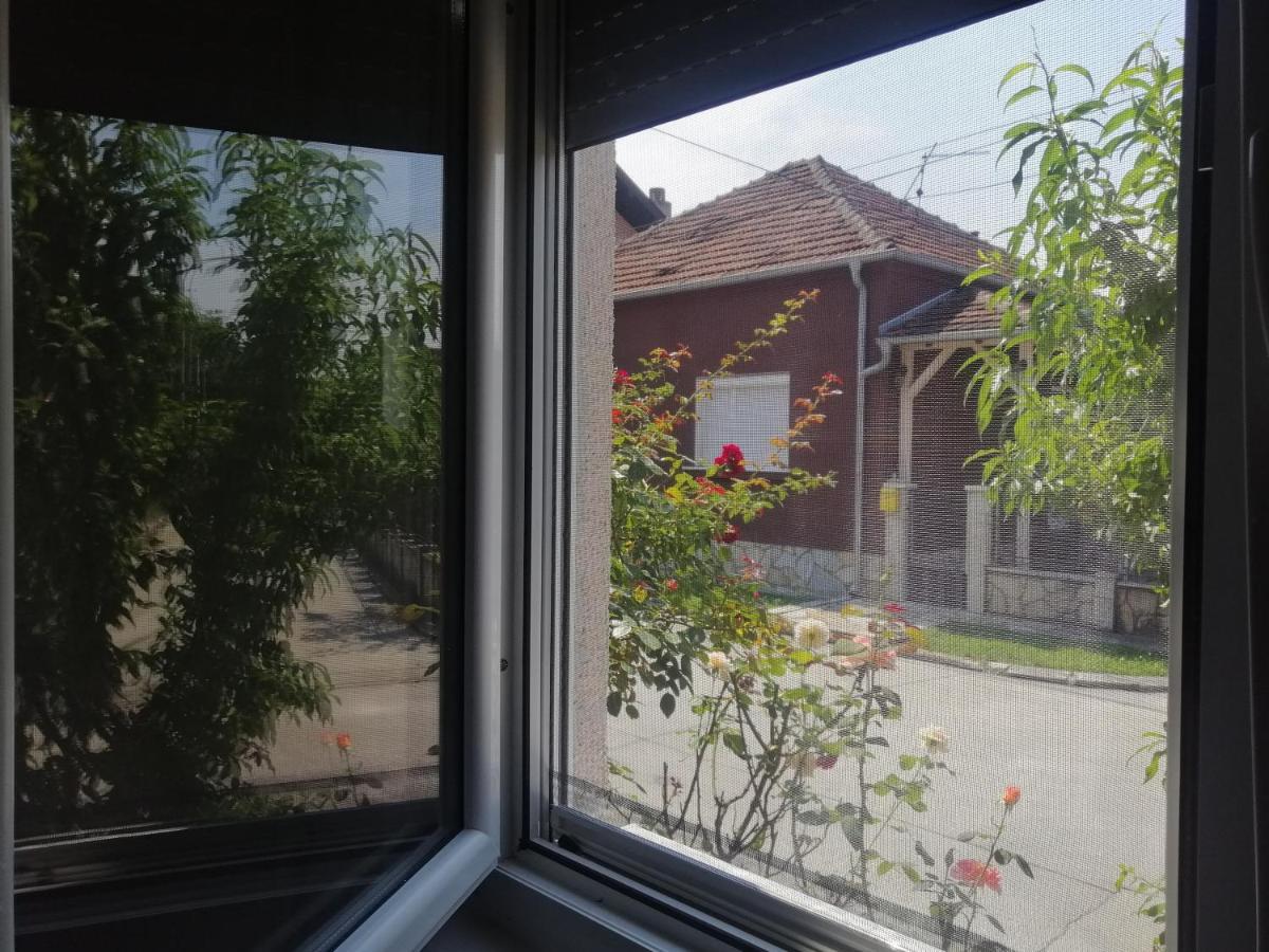 Apartman Nana Jagodina Kültér fotó
