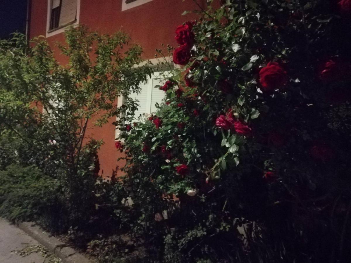 Apartman Nana Jagodina Kültér fotó