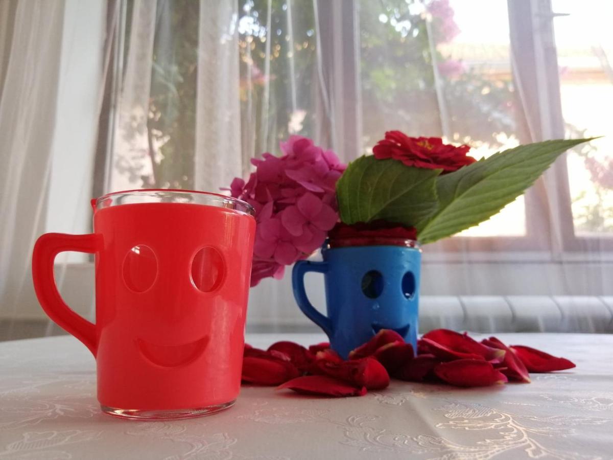 Apartman Nana Jagodina Kültér fotó