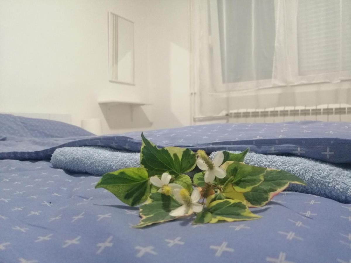 Apartman Nana Jagodina Kültér fotó