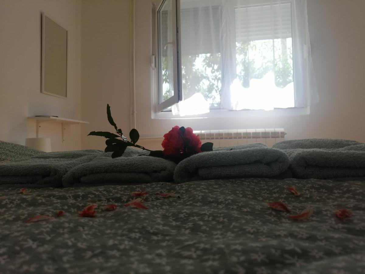 Apartman Nana Jagodina Kültér fotó